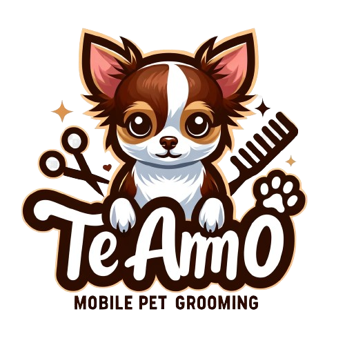 和歌山の出張型トリミングサロン - Te Amo